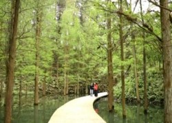 點(diǎn)擊查看詳細(xì)信息...
