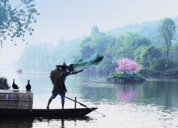 點(diǎn)擊查看詳細(xì)信息...